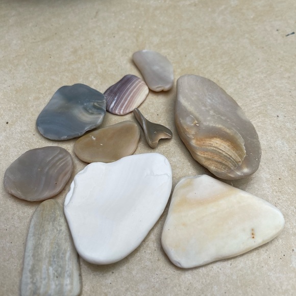 🌊 Set of 10 Calming Serenity Shells 🐚 + a shark tooth!🦈 Fidget or decor - Picture 6 of 7